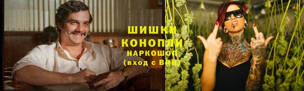 индика Зеленодольск