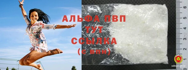 индика Зеленодольск