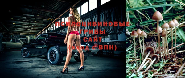 индика Зеленодольск