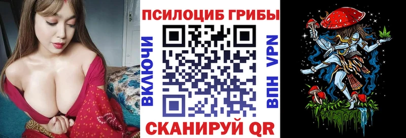 Купить где  Дубна  Псилоцибиновые грибы Magic Shrooms 